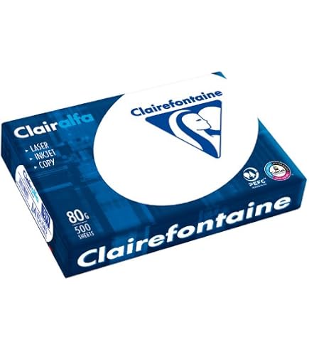 Clairefontaine Rouleau De Carton Ondulé Argent 300g/m² - 50x70cm - Pour Loisirs Créatifs, Bricolage, Carterie