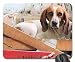 Produktbild Rectangle Non-Slip Rubber Mouse Pad(9.45x7.8x0.12 Inches) Dog Box Dog Look Portrait Good