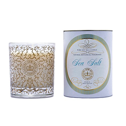 Preisvergleich Produktbild KEW GARDENS Meersalz Duftkerze