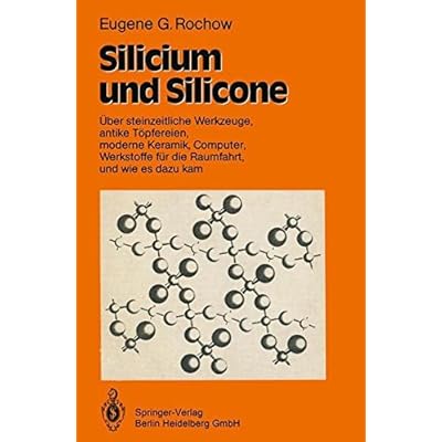 Silicium und Silicone: Über steinzeitliche Werkzeuge, antike Töpfereien, moderne Keramik, Computer, Werkstoffe für die Raumfahrt, und wie es dazu kam (German Edition)