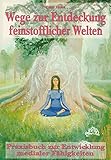 Wege zur Entdeckung feinstofflicher Welten: Praxisbuch zur Entwicklung medialer Fähigkeiten by 