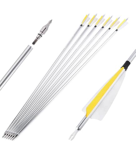 Pointes Broadhead 100 Grains Flèches D'arbalète En Aluminium 20/22 Pouces - Avec Pointes 100 Grains - Pour Chasse Et Tir Sportif - Lot De 6 Ou 12 Flèches Colorées Plumes Caoutchouc 4 Pouces
