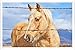 Produktbild Metall Poster Platte Wand-Dekor Blechschild von #30516 Horse 20*30cm