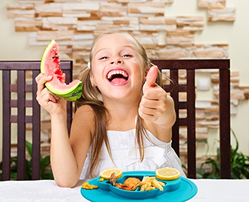 Qshare – Mini Silikon Tischset 28x20x2.5cm, ein Schüssel für Babys, Kleinkinder und Kinder, tragbar, ein BPA-freies, durch FDA zugelassenes Geschirr, Saugflächee, spülmaschinentauglich, mikrowellentauglich - 2
