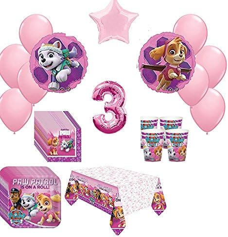3rd Pink Paw Patrol Skye & Everest 16 Piece Birthday ultimate Party Pack