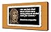 Produktbild pingoo Prints Rosanna Arquette Quotes 10,2 cm Kunstdruck, Leinwand, mehrfarbig, 60 x 90 x 5 cm