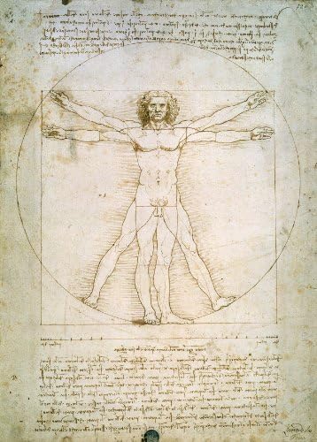 Vitruvian Man Proportions of the human figure by Leonardo da Vinci High Quality Fine Art Print (80 x 60 cm)