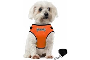 FEimaX Zestaw uprzęży i smyczy, bez ciągnięcia, regulowane szelki z siatki dla zwierząt domowych z nylonową smyczą i paskami odblaskowymi, kamizelka do wyprowadzania kotów, odpowiednia dla małych i