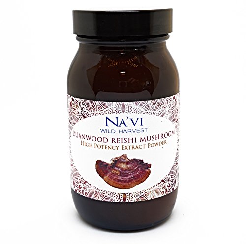 Duanwood Reishi | Polvere di Estratto di funghi | Doppia estrazione | Selvatico coltivato (80g)