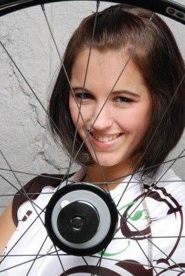 Preisvergleich Produktbild Speichen M 2X260mm Nirosta