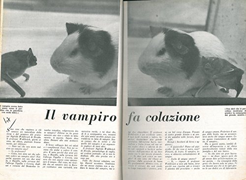 Il vampiro fa colazione.