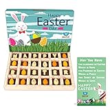 Bogatchi Easter Chocolate Eggs, 240g (12 Pieces, with Free Easter Greeting Card)