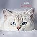 Katzen 2018 - Katzenkalender, Tierkalender , Broschürenkalender - 30 x 30 cm by 