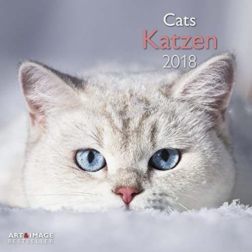 Katzen 2018 - Katzenkalender, Tierkalender , Broschürenkalender - 30 x 30 cm