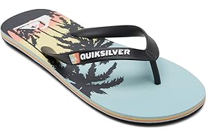 Quiksilver Molokai Art Gregg Kaplan - Chanclas para Hombre