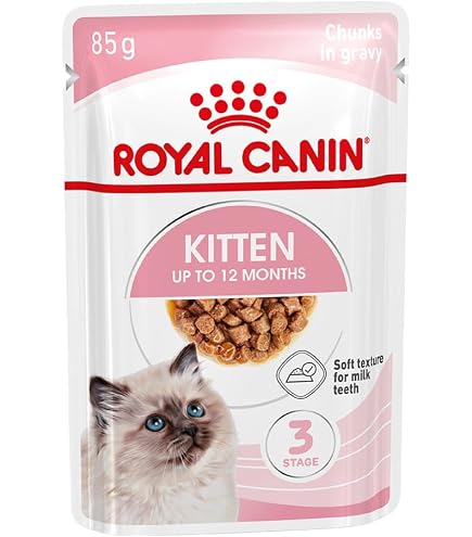 ROYAL CANIN British Shorthair Chaton