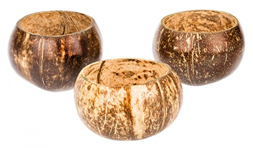 NaDeco® Kokos Becher poliert Ø 10-13cm | Kokosnuss Schale poliert | polierter Kokosbecher | echte polierte Deko Kokosnuss | Kokosnussschalenpoliert | Deko Kokosnuss | Beach Party | Beach Club Deko - 3