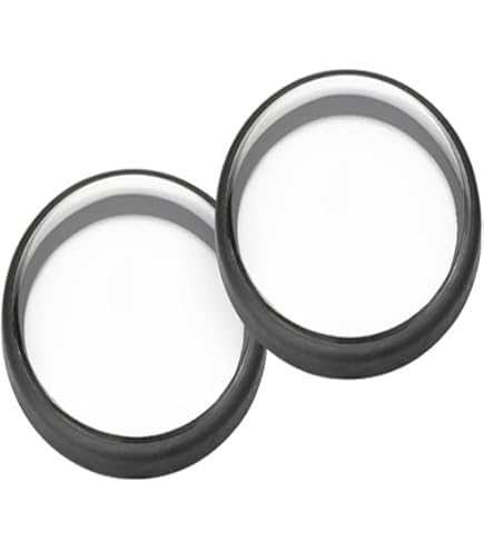 2 x Clear Acryl Lens Protectors voor GoPro MAX 360 Lense Covers Guards