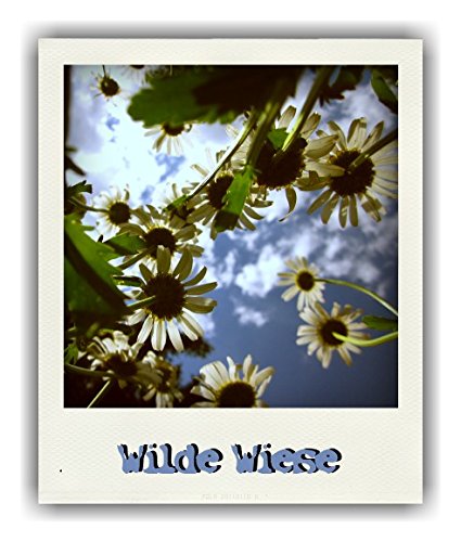 Seedballs Wilde Wiese 3er - 3