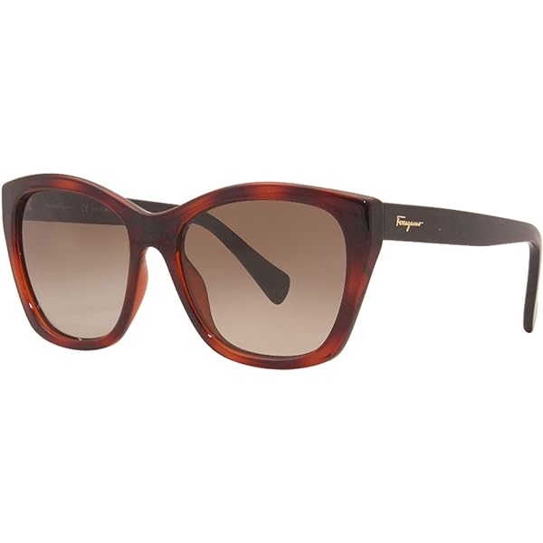 FERRAGAMO サングラス SF906SA-214 TORTOISE SunglFERRAGAMO SF 906 SA 214 Tortoise: Buy Online at Best