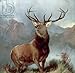 Produktbild Alu-Dibond-Bild 20 x 20 cm: "Monarch of the Glen, 1851 (oil on canvas)", Bild auf Alu-Dibond