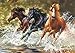 Produktbild Puzzle 500 Teile - Pferde in Galopp - Wasser - Wildpferde / Tier - Tiere Stute Hengst Fohlen - Tierpuzzle / Pferdepuzzle Araber Brauner