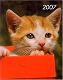 Katze 2007: Art & Image by 
