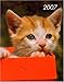 Katze 2007: Art & Image by 