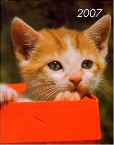 Katze 2007: Art & Image