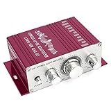Car Mini Stereo Audio Power Amplifier DC 12V 40W RS.3593 (30.00% Off) - Amazon