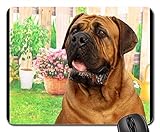Gaming-Mauspads, Mäusematte, Bordeaux Mastiff Dog Animal White De Mastiffs 10