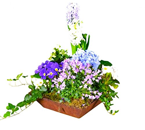 Edelrost Schale 30x30x8cm