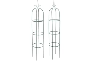 Oxeo Arche de Jardin en Forme de Tour X2 - Obélisque de Jardin pour Plantes grimpantes et Fleurs - Hauteur 205cm - Verte en métal