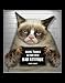 Produktbild Close Up Grumpy Cat Miniposter Sauce, Tardar (27,5cm x 35,5cm) + Original tesa Powerstrips® (1 Pack/20 STK.)