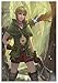 Produktbild Poster Linkle Hyrule Warriors Legends (A) - A3 (42x30 cm)