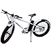 Produktbild Elektro FAT-BIKE 26" / 66cm WEIß mit Shimano 6-Gang Elektrofahrrad Ebike Pedelec Elektro Mountainbike MTB Fahrrad Fat Tire Fette Räder