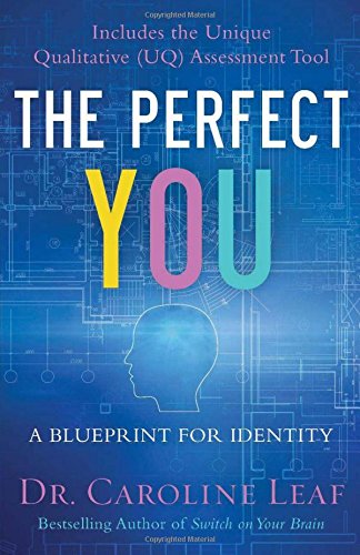 The Perfect You: A Blueprint for Identity livre