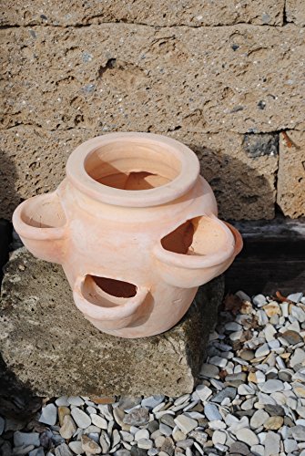 Kräuter-oder Erdbeertopf,Terracotta,ca.34cm - 2