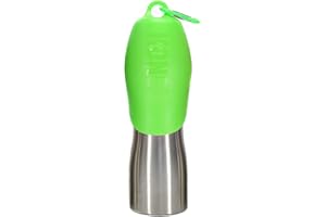 KONG H2O Stainless Steel Water Bottle, 700 ml, Large, Green L, KG25GRN
