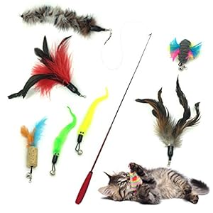 Gato Rectificable Toy Wand, PietyPet Recargas múltiples Gato Pluma Juguete Interactivo Gato Varita Rematador y ejercitador con Gato y Gatito Kitty, 8 Piezas