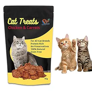 Sage Square Chicken & Carrot Cat Treat, Crunchy Protein Rich Snack, No Preservative, 45g