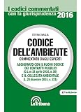 Codice dell'ambiente