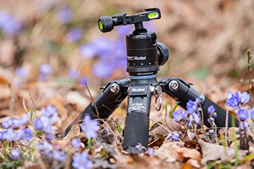 En Venta Rollei Compact Traveler Mini M-1 (Antes M5 Mini) - Trípode
Portátil, Capacidad de Carga: 8 kg, con Cabezal esférico y Bolsa de
Transporte, Color Negro En línea