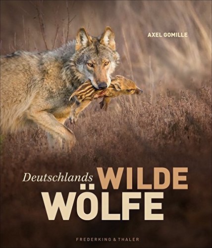 Download Bildband Wölfe - Begegnungen in freier Wildbahn: Deutschlands wilde Wölfe kehren zurück - Ein einmaliges Erlebnis von Wildnis und Natur mit 190 außergewöhnlichen Fotos