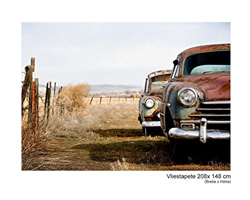 Fototapete Vlies Vliestapete Oldtimers Car Auto Klassiker Legende Amerika Steppe Lowrider Wand Bild Dekoration Modern XXL Bahn No.87 (208x148cm)