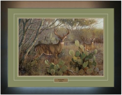 Reflective Art - "Lone Star Buck" Framed Art