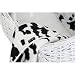 Isabella Alicia Born To Be Wild Cow Izzy Pod Moses Basket (White)