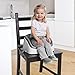 Ingenuity SmartClean Toddler Booster (Slate)