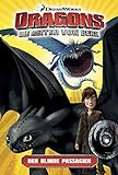 Dragons - Die Reiter von Berk 4: Der blinde Passagier by Simon Furman, Iwan Nazif
