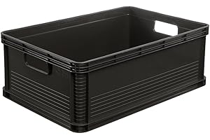 keeeper Boîtes de Transport Solides, Résistantes Aux Acides et Sans Danger pour les Aliments, Robert, Gris Anthracite